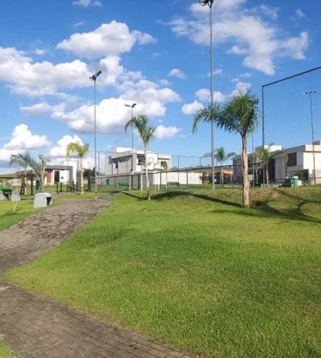 T1150 1.jpg
